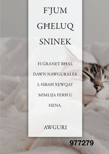 Picture of FJUM GHELUQ SNINEK KARTOLINA